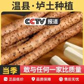 温县铁棍山药温县垆土铁棍山药正宗河南焦作新鲜淮山药特产精品真