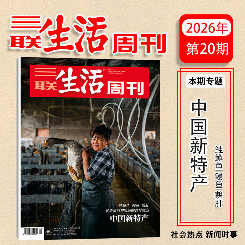 【新20期：新特产】三联生活周刊杂志2026年上新 脱轨之后/观画寻道 全年订阅 实时热点综合性时政新闻杂志期刊 包邮每月快递发刊