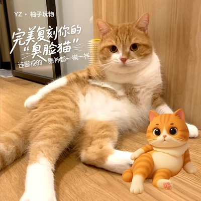 YZ·柚子玩物3d打印萌宠手办创意定制宠物模型盲盒打印生日礼物品