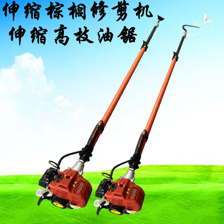 棕榈树修理工具伸缩加长棕榈机 二冲程伸缩款园林高枝锯 高枝油锯,模玩/动漫/周边/娃圈三坑/桌游,文化/体育周边,淘宝优惠券,粉丝福利购,淘宝优惠卷