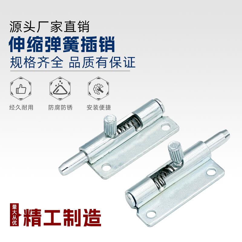 镀锌铁弹簧铰链插销F6-20-N1A50WL/R伸缩门门销可拆铰链柜门插销