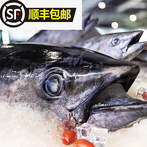 深海海鲜蓝鳍金枪鱼鱼头鱼尾新鲜吞拿鱼日料刺身赤身中腹大腹美食