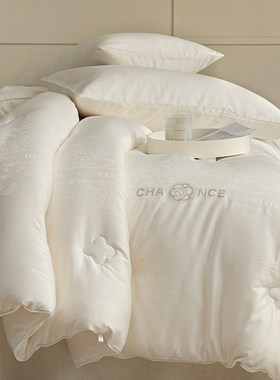 优选60S贡缎木本大豆烫钻被芯四季款春秋被轻奢提花加厚保暖子母