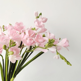 仿妆PU玉簪花水仙手感仿真w花花束摆件客厅餐桌假花摆花轻奢小苍