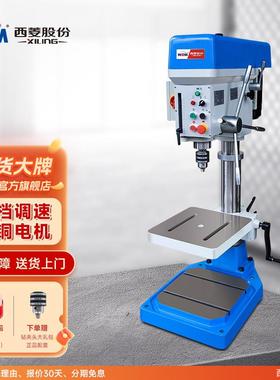 G系列台钻工业钻攻两用机钻床钻孔机攻牙机攻丝机Z4116G4120G