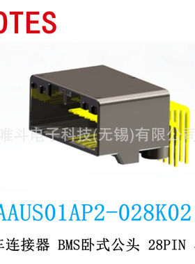 LOTES嘉泽 AAUS01AP2-028K02 汽車BMS公头 28PIN 黑色 AAUS01AP2