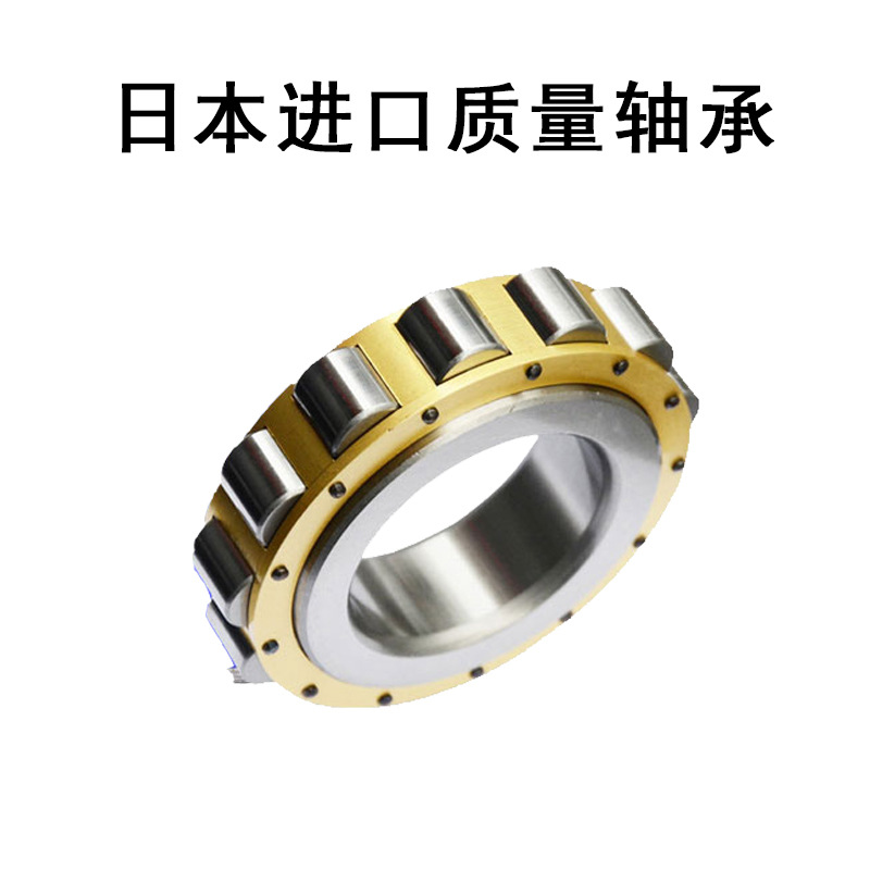 日本进口圆柱滚子轴承 RN204 205 206 207 208 219 222 228EM