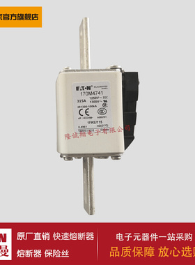 熔断器170M4761 170M4762 170M4763 170M4764 170M4765 170M4766