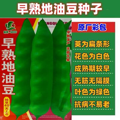 早熟地油豆种子不搭架矮