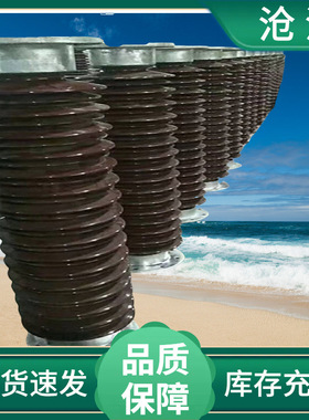 户外陶瓷棒型支柱绝缘子ZSW- ZSW2-220/16K-3棒型瓷支柱电力器材