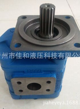 装载机工作泵9F662-54D040000A0    j0016XF齿轮泵