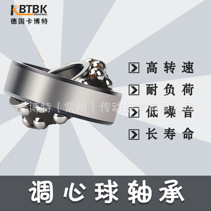 德国KBTBK不锈钢进口调心球轴承S2304 2RS S2305 2RS S2306 440