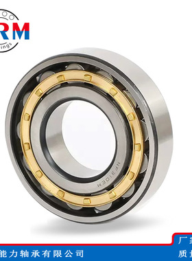 WRM圆柱滚子轴承NF1004 NF1005 NF1006 NF1007 NF1008EM轴承