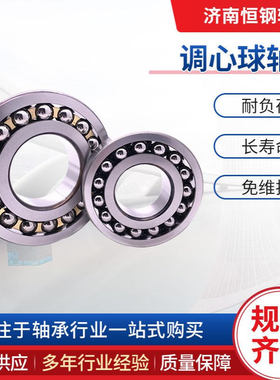 2318M 调心球轴承 2308K 2220M 2304E-2RS1 2320M 2322M 2324M