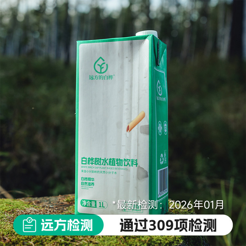 远方的梦想野生桦树水小兴安岭健康白桦树水植物饮料自然滋养2瓶