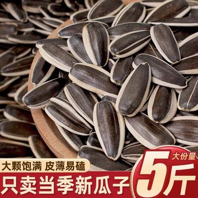 原味瓜子炒熟大颗粒2025新