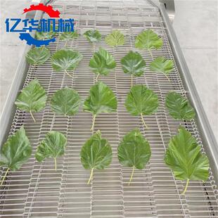 桑NKT叶上浆亿机 桑叶浆油炸流线 华香上酥翠叶挂糊油水炸设备