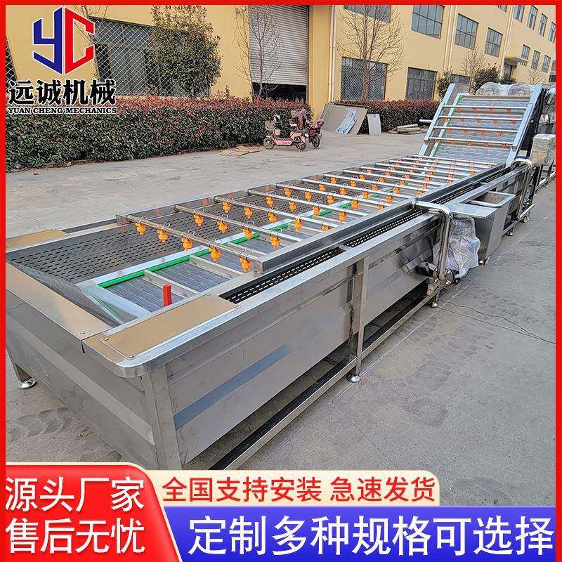 蔬清洗机 喷淋式叶材竹笋气泡DSB清洗机 洗菜机 菜类药清洗流果水