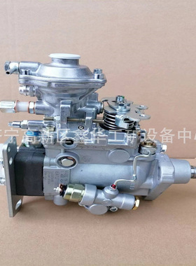 批量销售VE4泵总成504066815 2852167 0460424304  12F1100L998