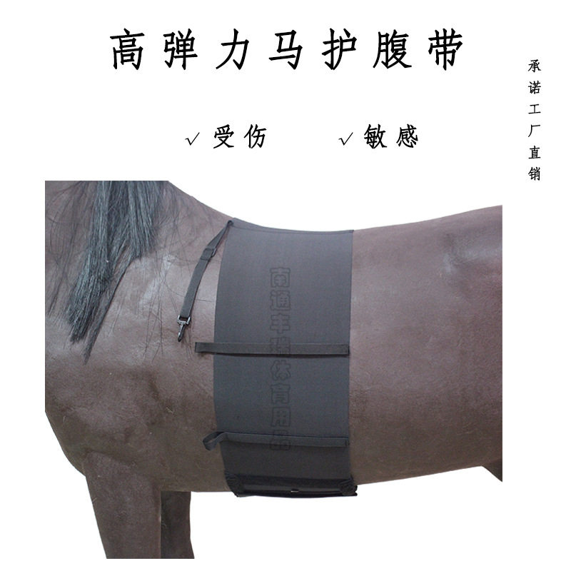高弹马腹带受伤马肚敏感部位保护新骑手马肚防护马具工厂