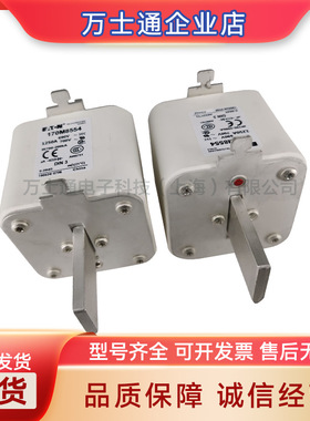 170M8606/8607/8608/8609/8610/8611/8612/8613全新熔断器现货
