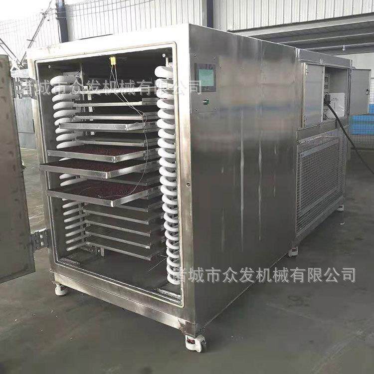 大蒜叶空冷真冻干机 青葱原料包真空冻干燥 紫薯10c冻机干机厂家