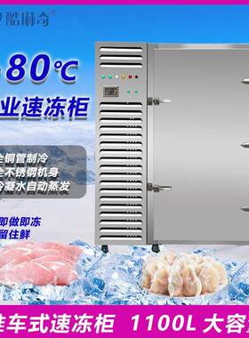大型水饺加工速冻机0 -馅8度推车式风冷急柜 海鲜包子料CYSD-110