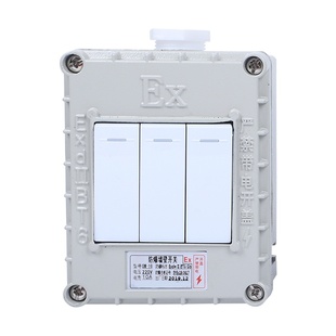 墙壁插座86型单开双开三开墙壁开关 防爆开关220V10A明装 暗装