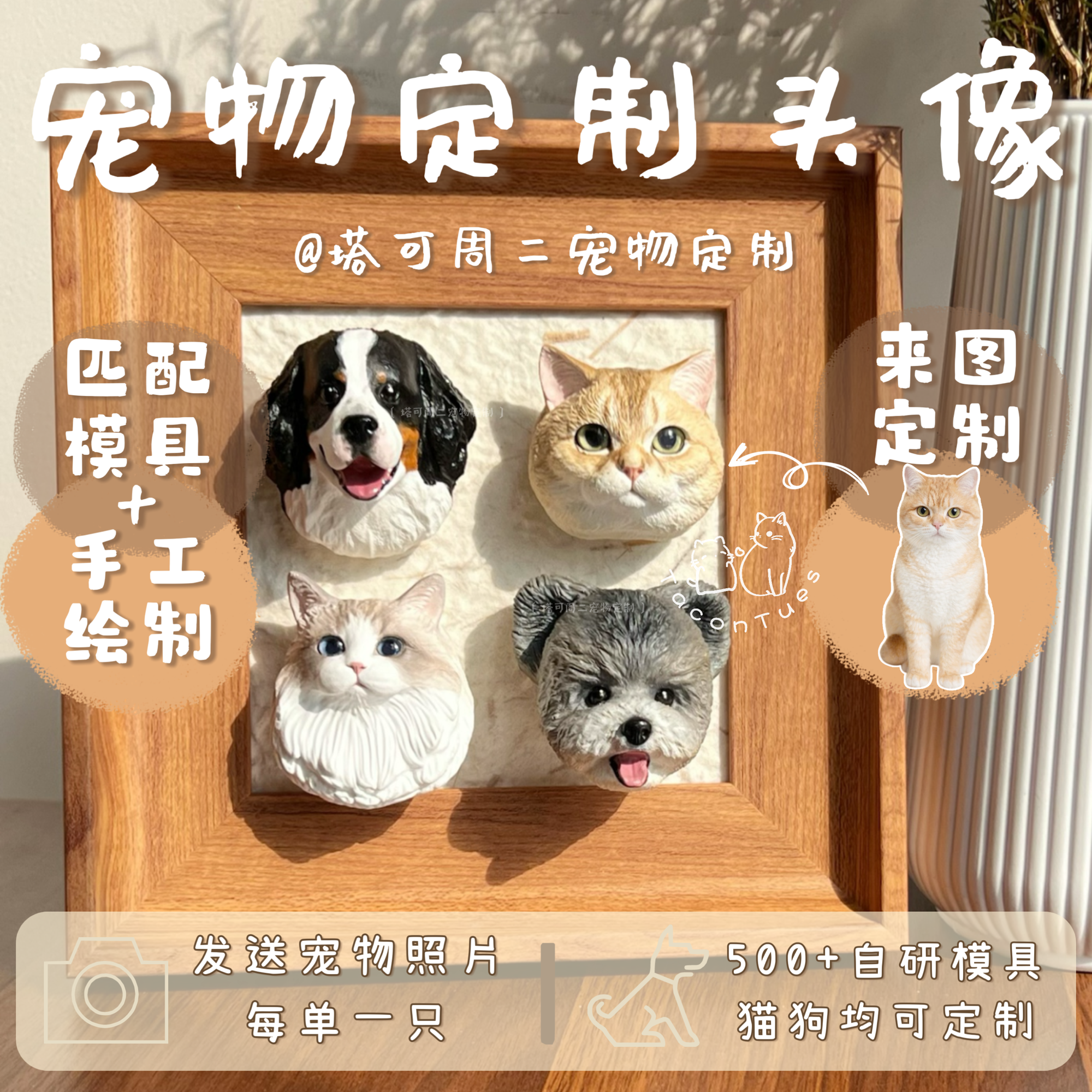 【来图定制】塔可周二宠物定制头像|猫狗定制