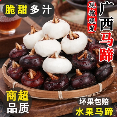 【正宗脆甜】广西荔浦新鲜马蹄