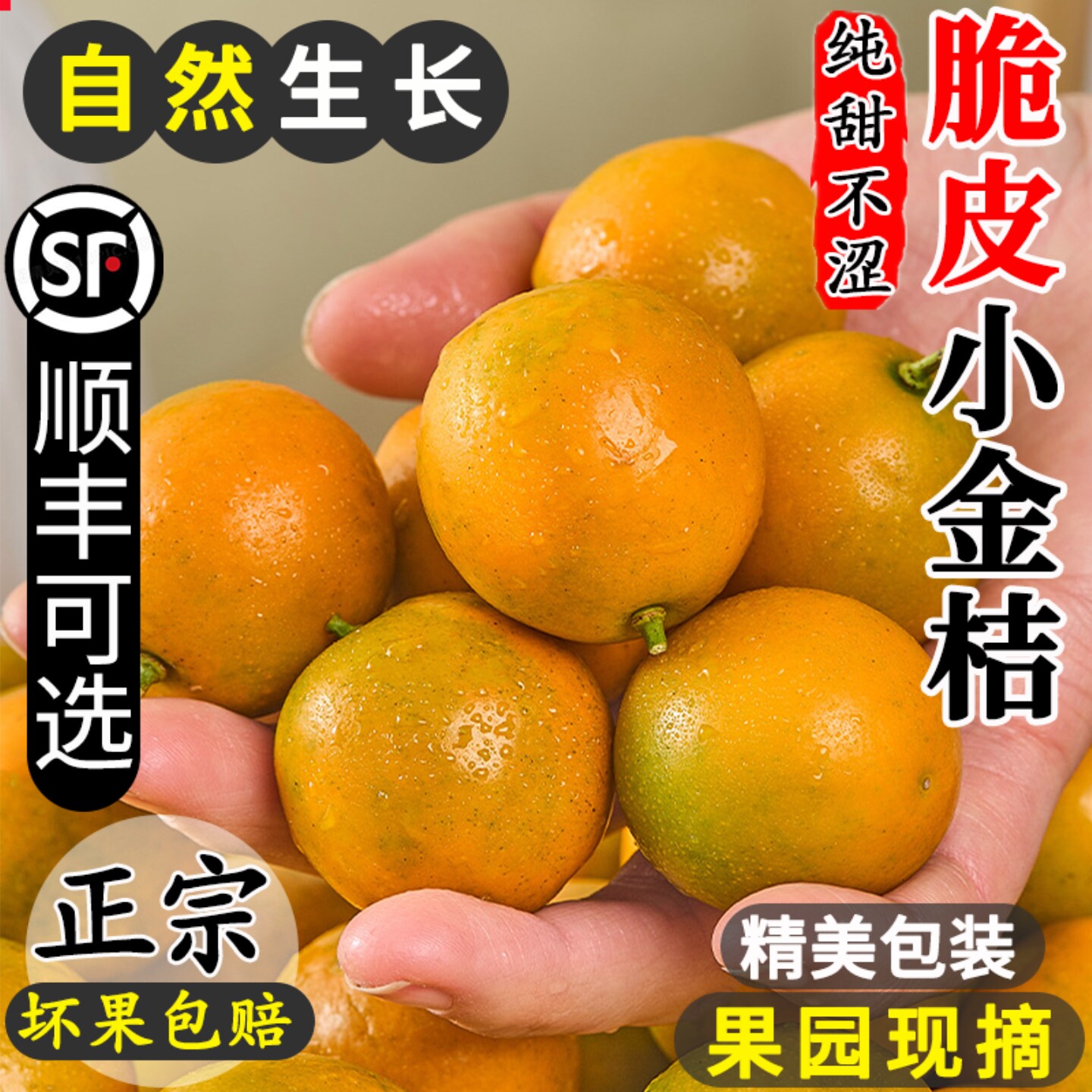 广西脆皮金桔丨纯甜无酸