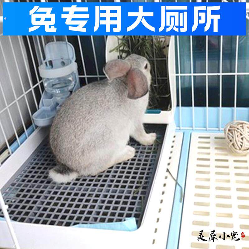 荷兰猪厕所大号超大宠物兔厕所专用荷兰猪尿盆防臭兔屎尿盆厕所