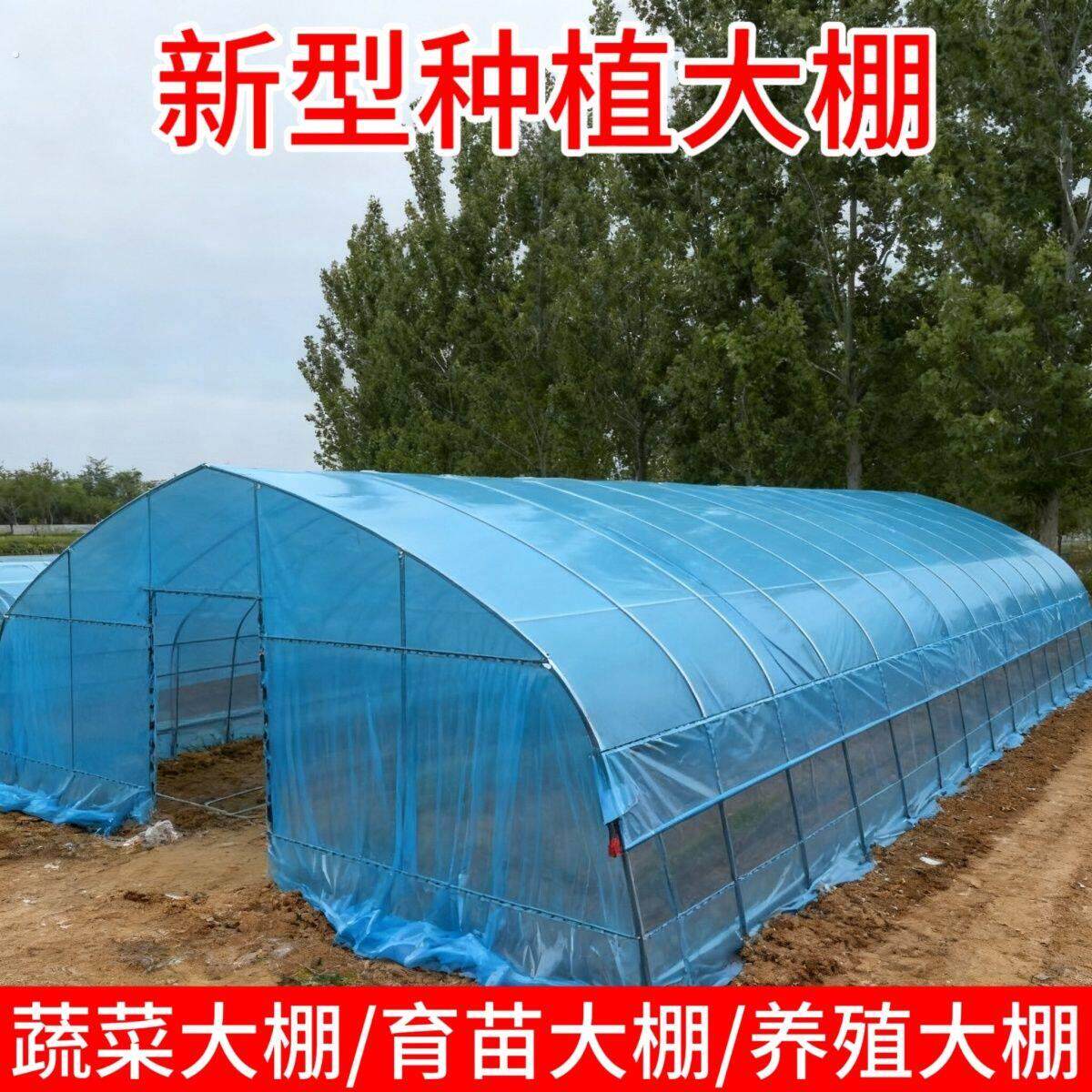 种植大棚支架全套骨架蔬菜育苗棚温室养殖大棚一整套钢架鸡棚猪棚