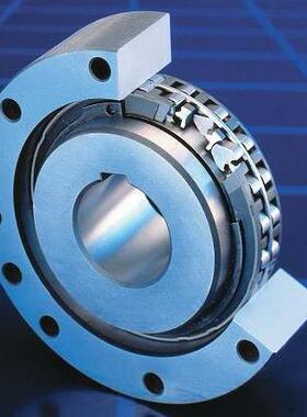 上海现货 RINGSPANN 逆止器 超越离合器 FXM80 FXM100 FXM140