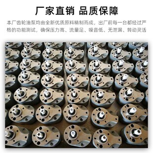 B32 B10 B16 B40 B100 B63 B125齿轮油泵F B2.5 B50 B25