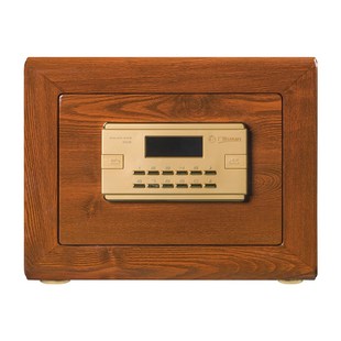 82家用保管柜箱 优选广纳保管柜箱GN WJX