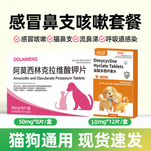 猫咪宠物狗狗打喷嚏感冒咳嗽阿莫西林克拉维酸钾鼻支感染速消炎诺
