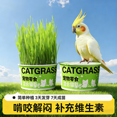 【自种鸟草】大碗鸟零食