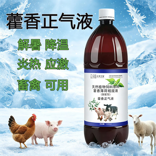 藿香正气水兽用藿香正气液兽用口服液鸡鸭猪牛羊解暑抗应激防中暑
