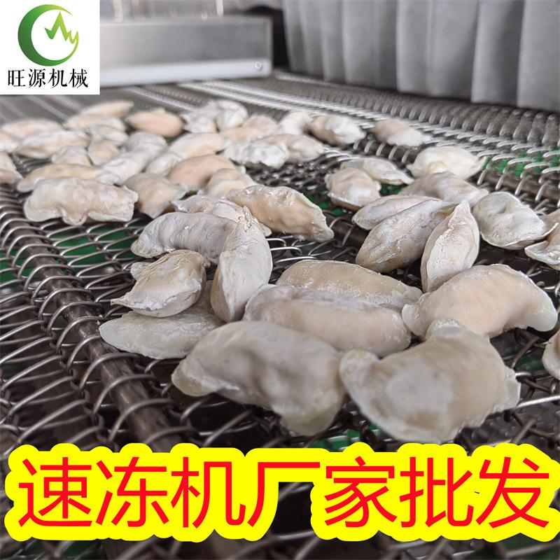 旺源 隧道式速冻机 黄樱桃冷冻线 红萝卜冷冻加工生产设备