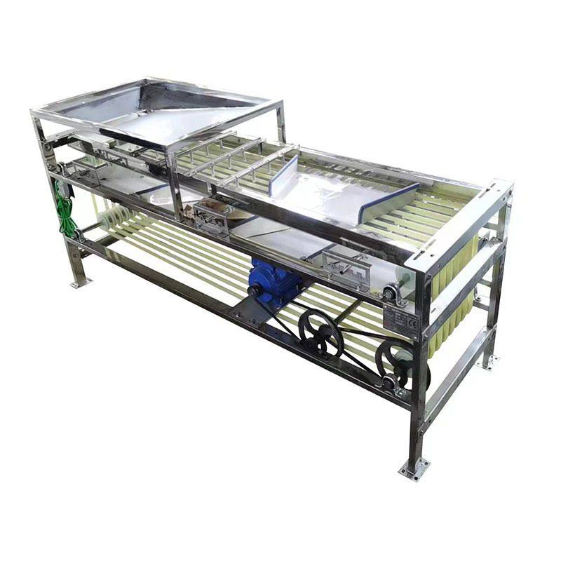 果蔬分选机 黄皮果分果机 槟郎红玉血橙选果机 皮筋水果分级机,清洗/食品/商业设备,选果机/分选机,淘宝优惠券,粉丝福利购,淘宝优惠卷