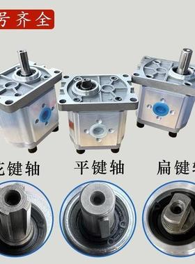 液压齿轮泵油泵总成CBN-F304/306/310/314/316/320/325小高压泵头