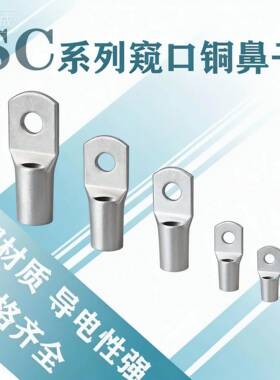 SC窥口短镀锡线耳铜鼻子6/10/16/25/35/50/70/95/120/150/185/240