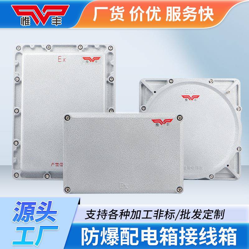 防爆接线箱配电箱照明动力控制柜按钮开关盒检修端子仪表箱成套