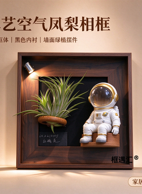 创意DIY空气凤梨相框磁吸背板