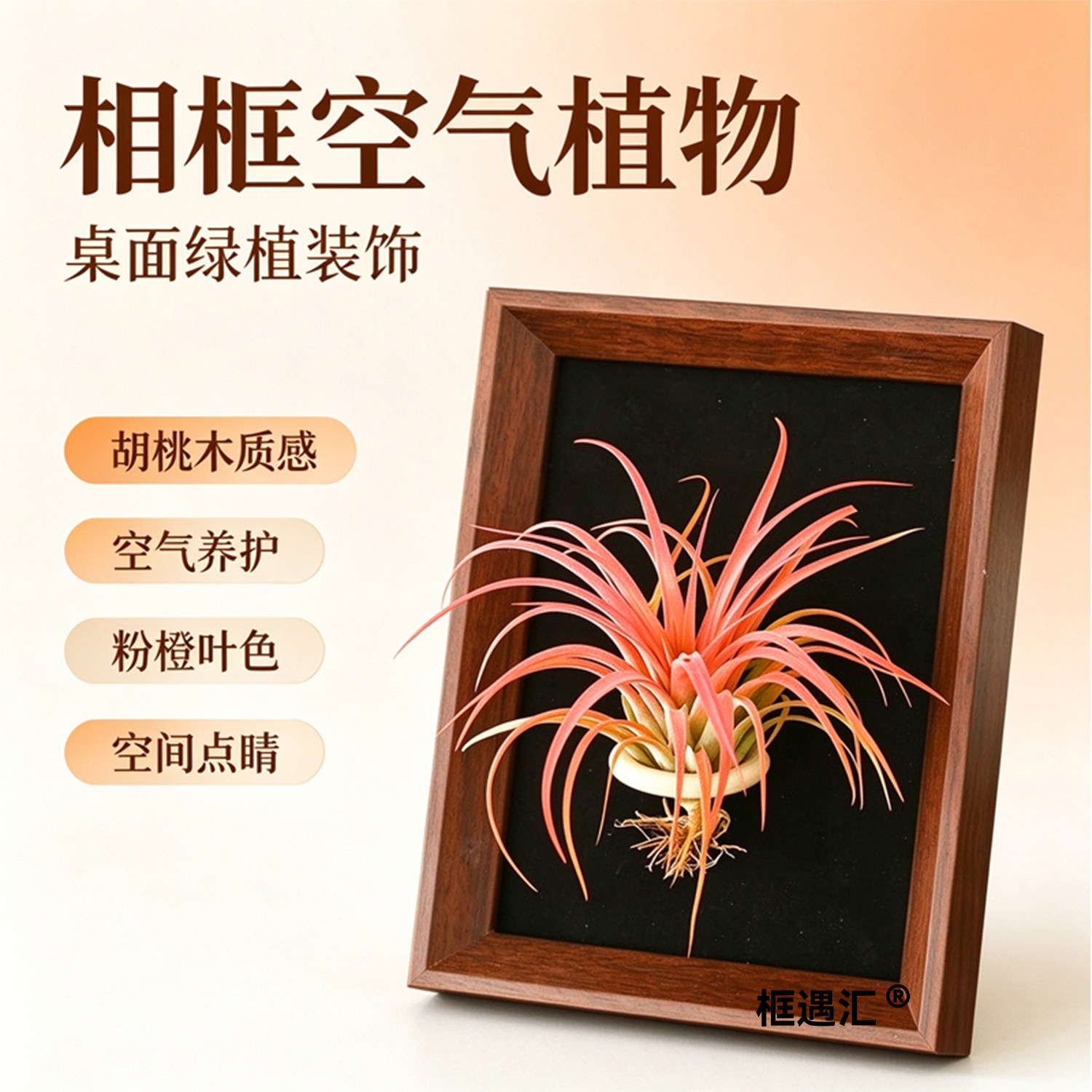 网红古风磁吸空气凤梨相框摆台