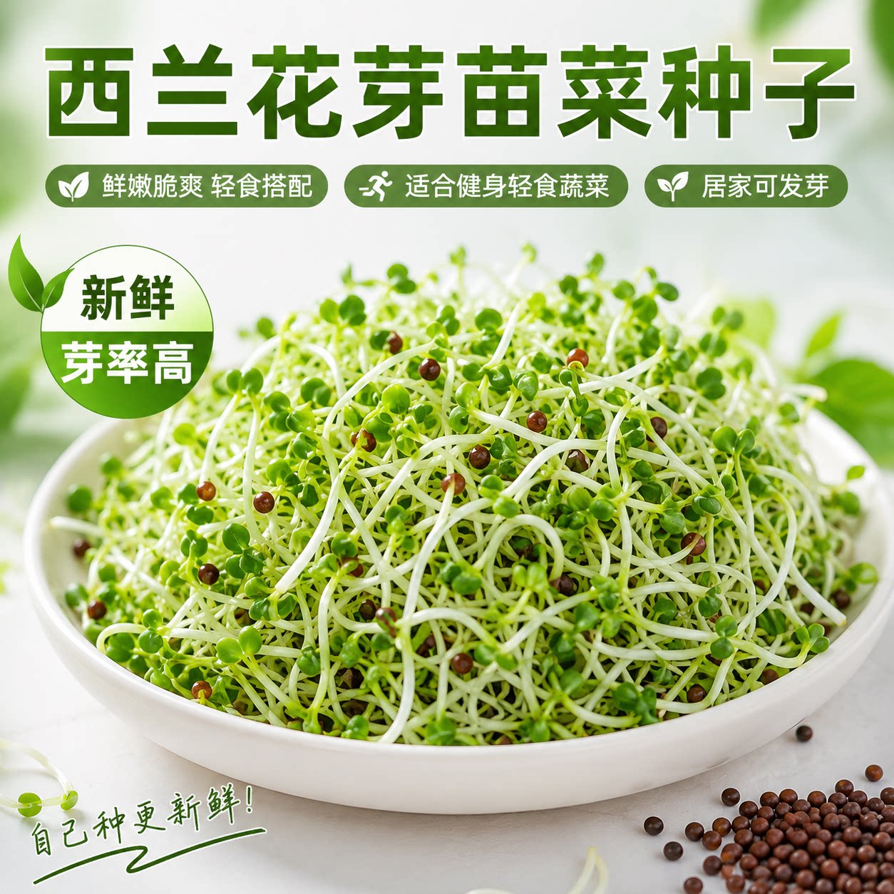 西兰花芽苗菜种子新鲜高芽率家庭阳台种植轻食搭配蔬菜种子
