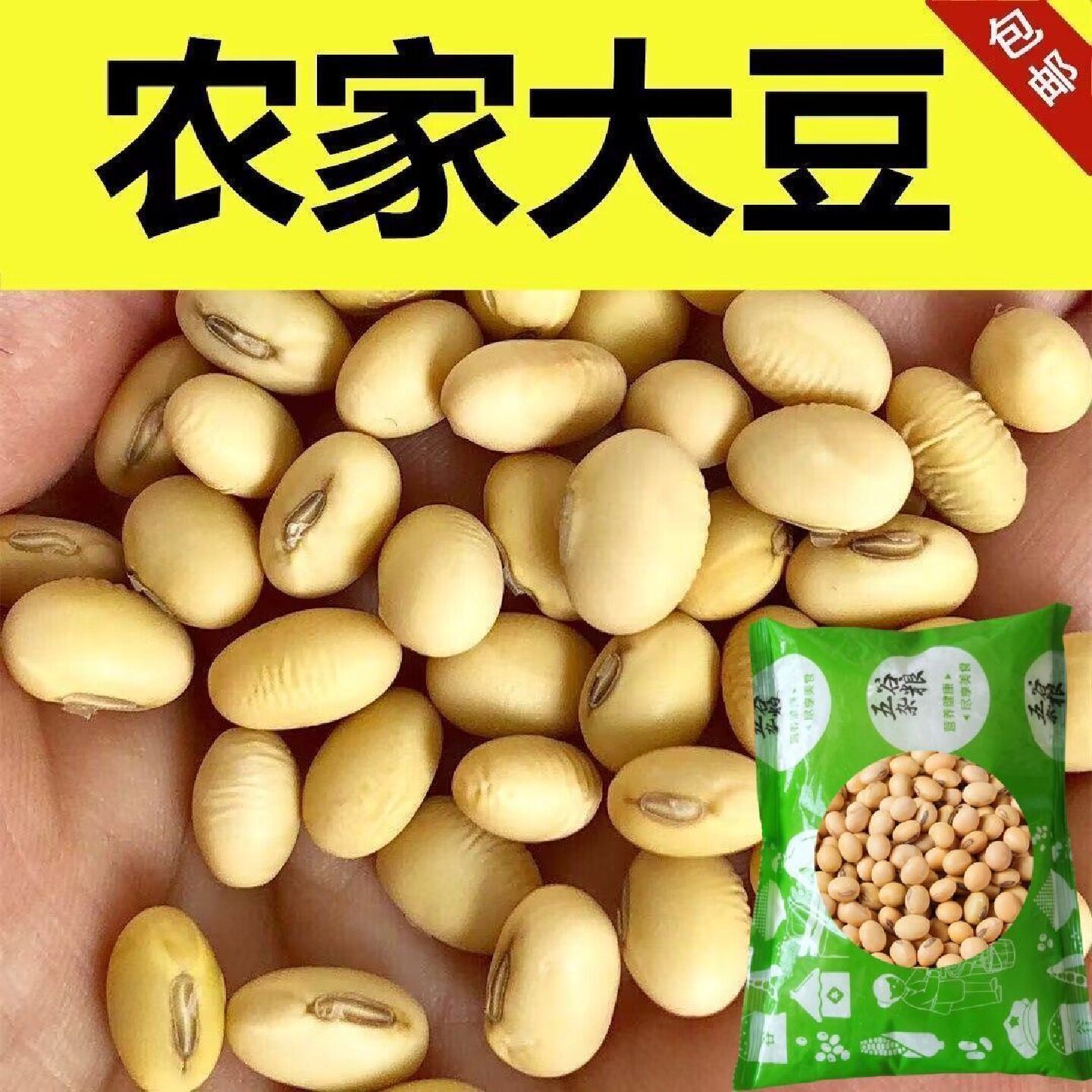 农家笨黄豆乡下土黄豆椭圆形老品种带脐黄豆豆浆豆豆腐脑豆腐豆