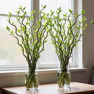 龙柳鲜枝水培植物客厅旺宅绿植雪柳带花苞花卉室内盆栽好养活国风