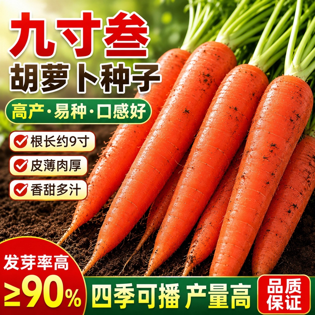 红芯九寸叁胡萝卜种子秋冬播